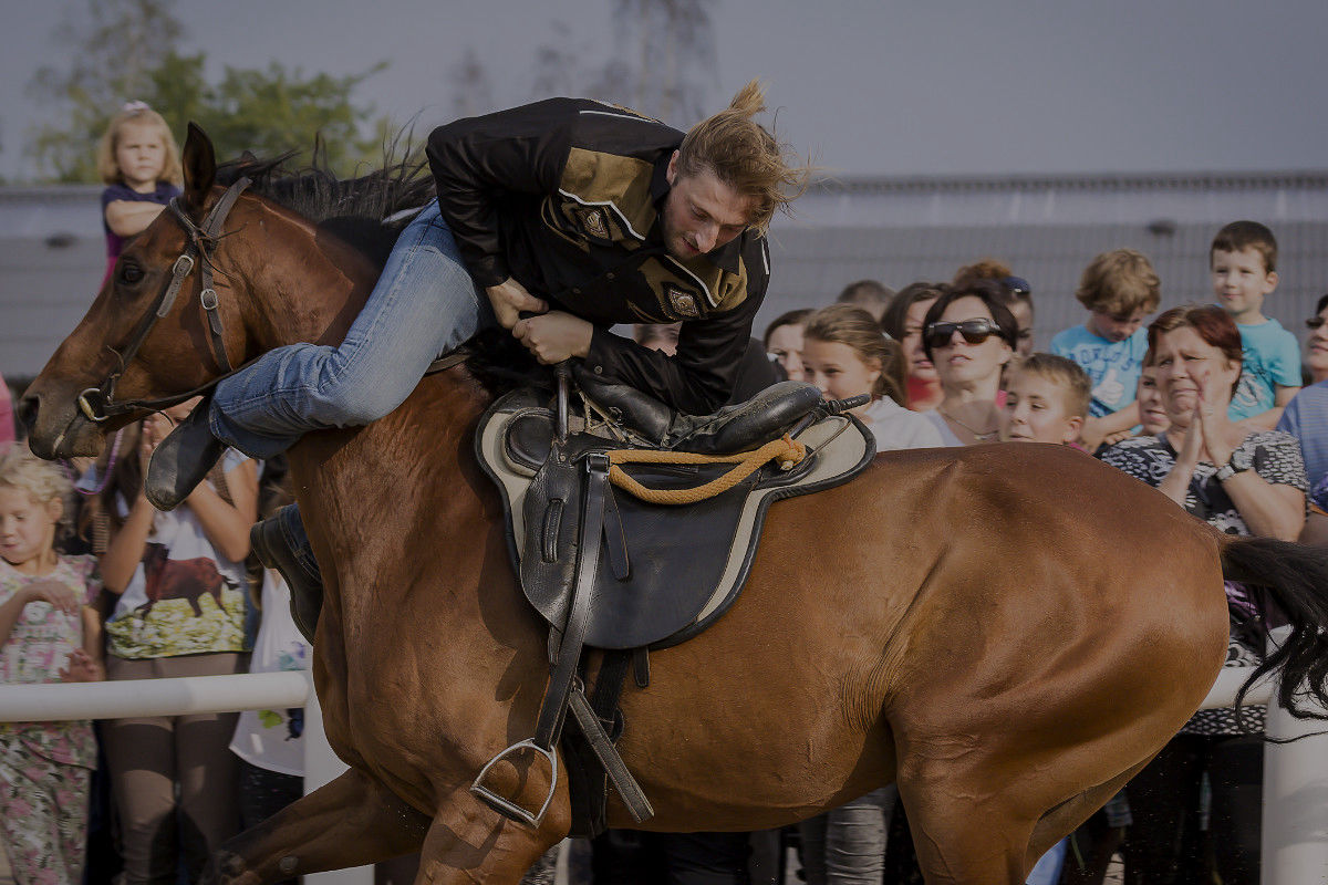 ZJĘCIA Z EVENTÓW I WYJAZDÓW